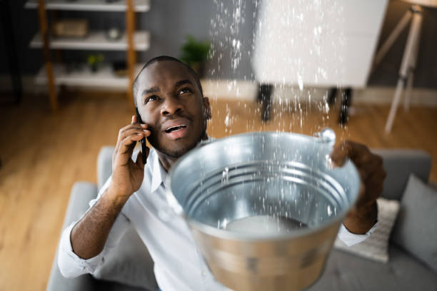 Best 24-hour water damage restoration  in Springfield, IL