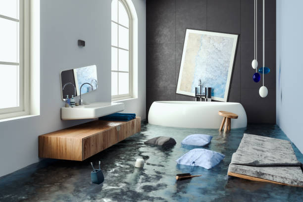 Best Water damage contractors near me  in Springfield, IL