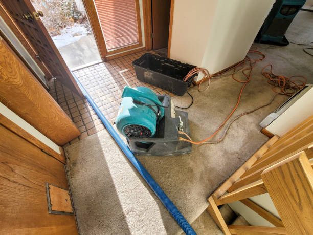 Best Emergency water damage restoration  in Springfield, IL
