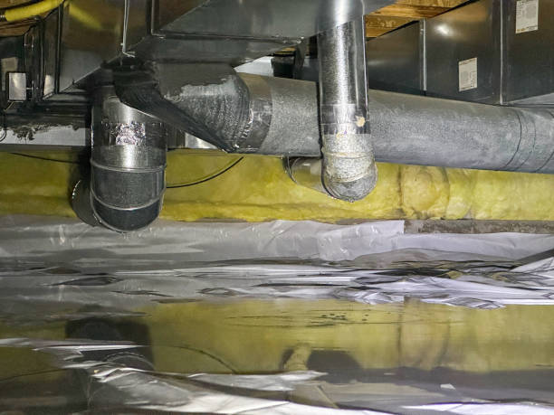 Best Professional water damage repair  in Springfield, IL